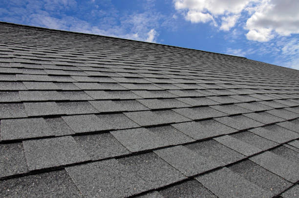Professional Roofing Service in Mckees Rocks, PA